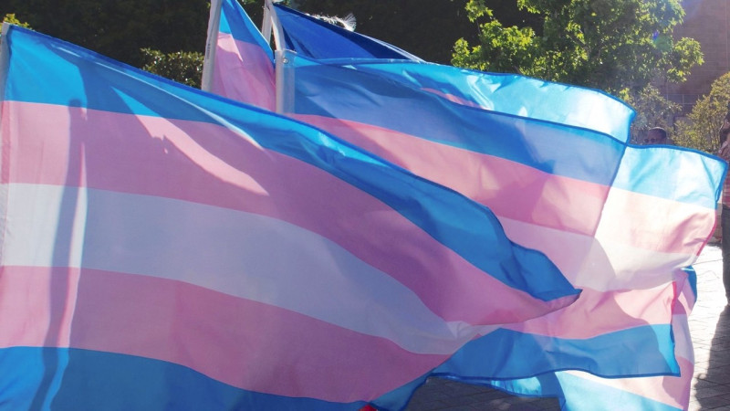 [Autor convidado] Hoje, 29 de janeiro, é Dia da Visibilidade Trans. Por Luiz Fernando Prado Uchôa.